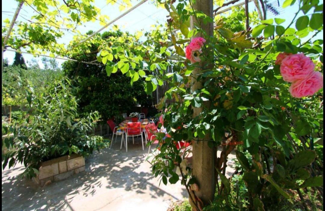 Ivan And Marica Guest House Лопуд Экстерьер фото